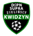 logo-druzyny